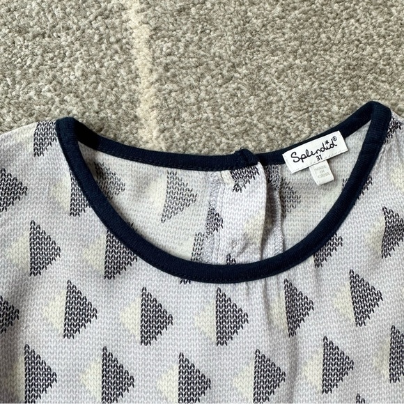 Splendid Navy Blue and Gray Drop Waist Tunic Top Dress - Picture 4 of 4